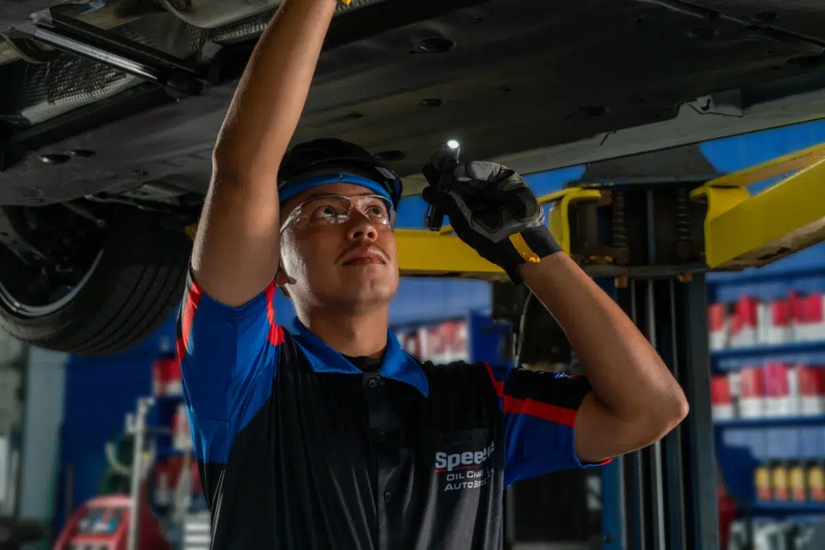 Our History and Vision